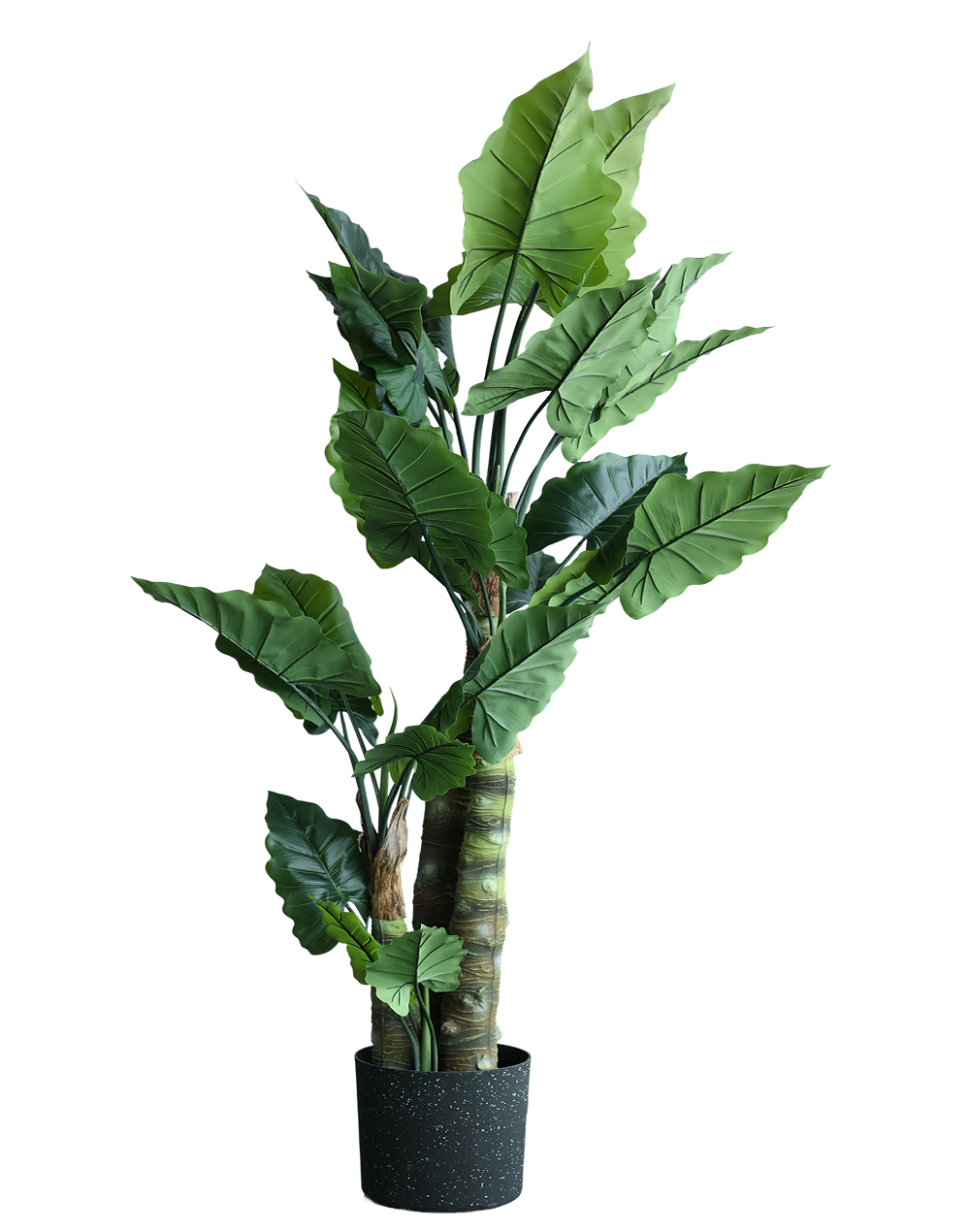 Trees | Available in 4 Styles