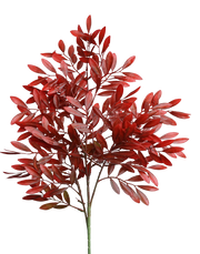 Ruby Nandina Spray Bunch-39" Red