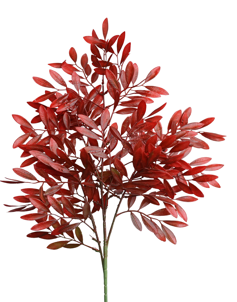 Ruby Nandina Spray Bunch-39" Red