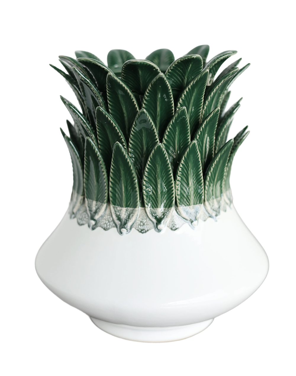 The Palma Collection- Riviera