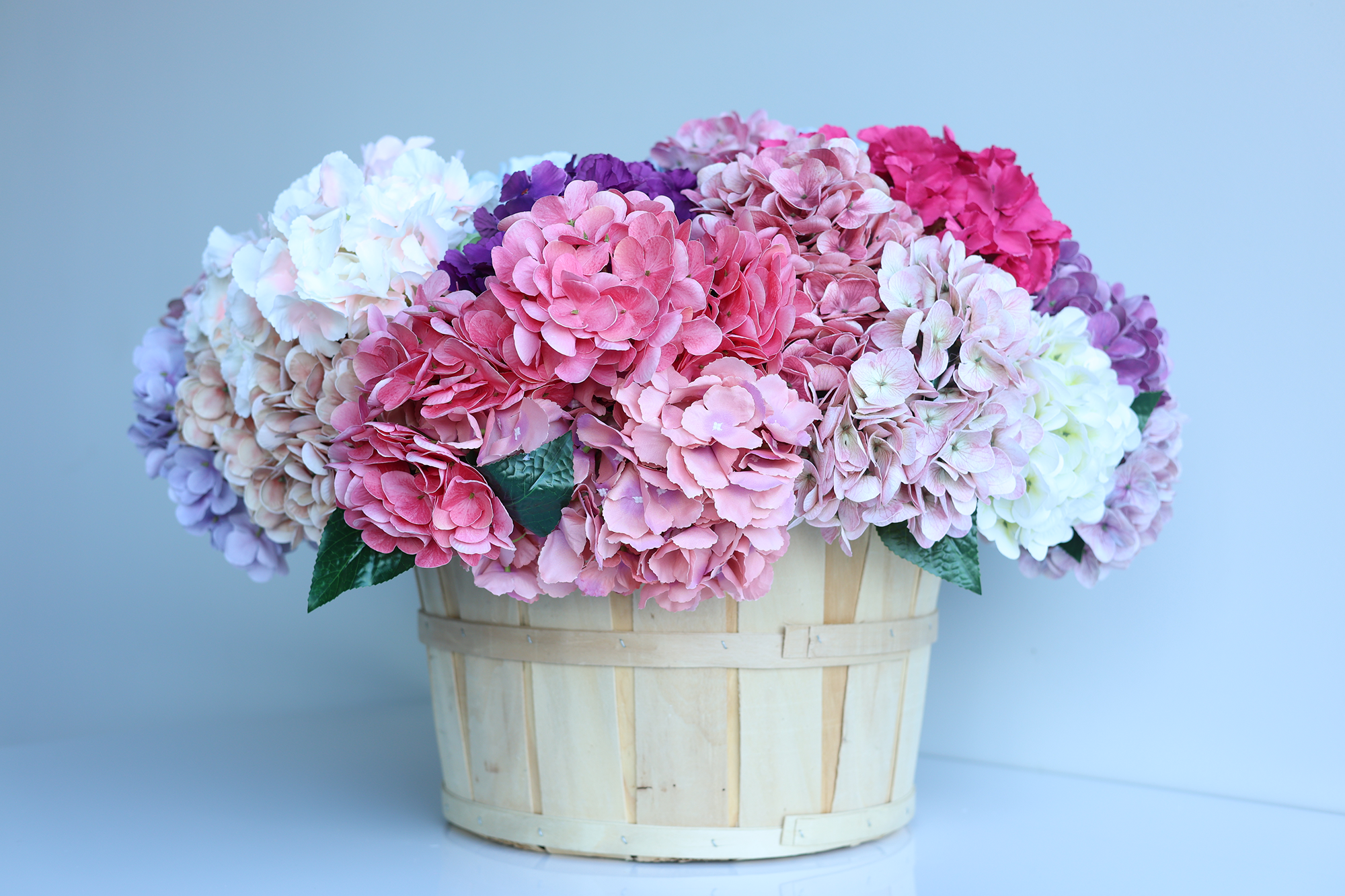 Hydrangeas