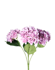 Purple Hydrangea bunch