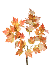 Autumn Leaves-40" Orange