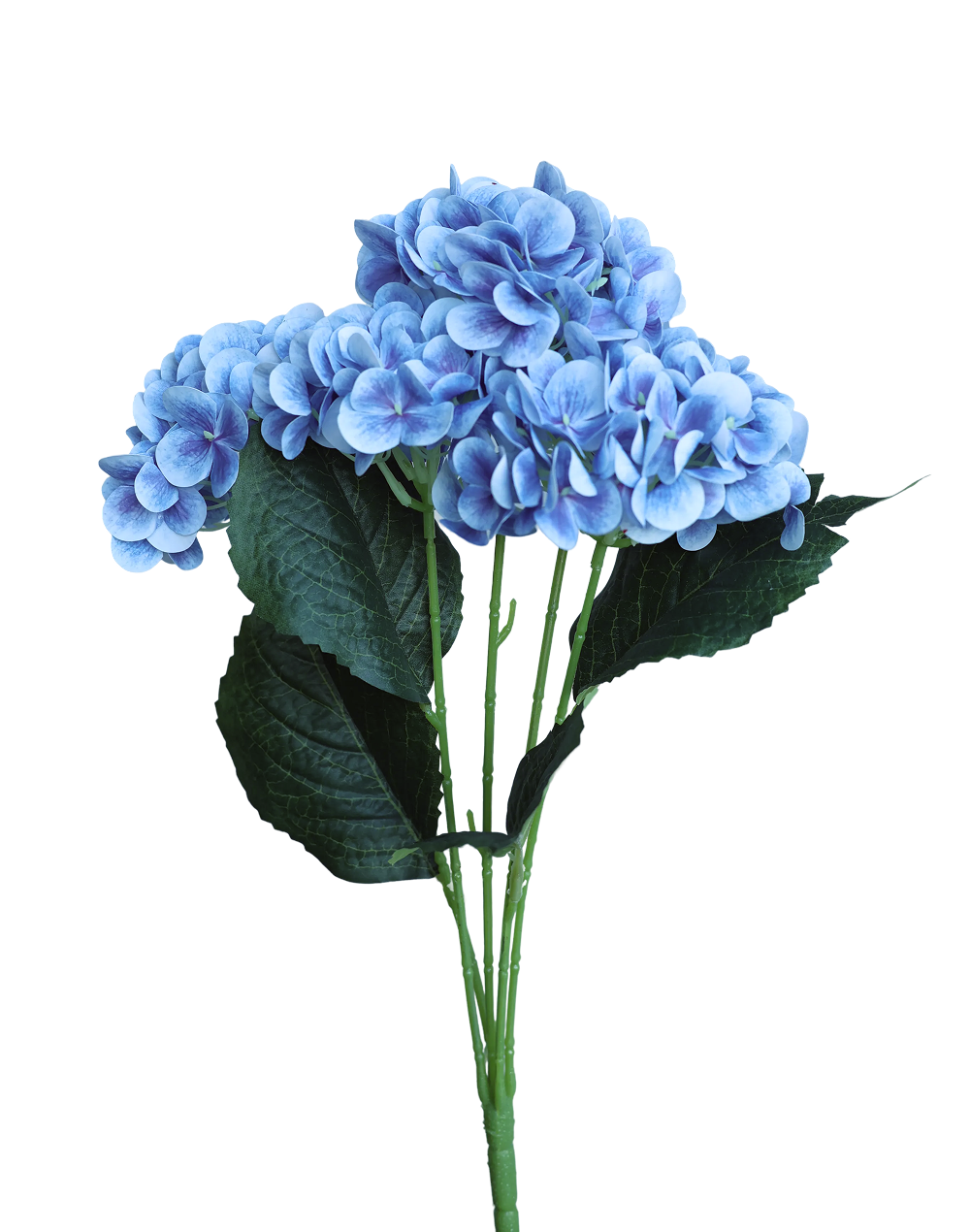 Purple Hydrangea Bunch