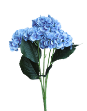 Purple Hydrangea Bunch
