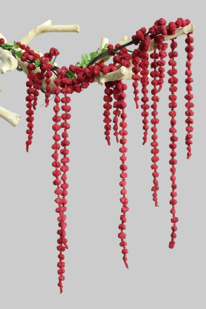 Amaranthus Dried
