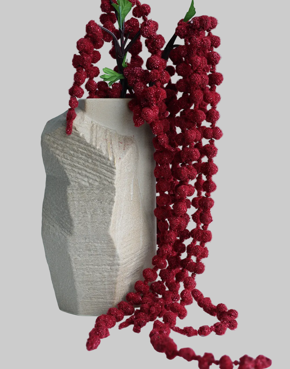 Amaranthus Dried