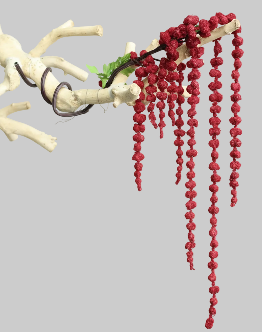 Amaranthus Dried