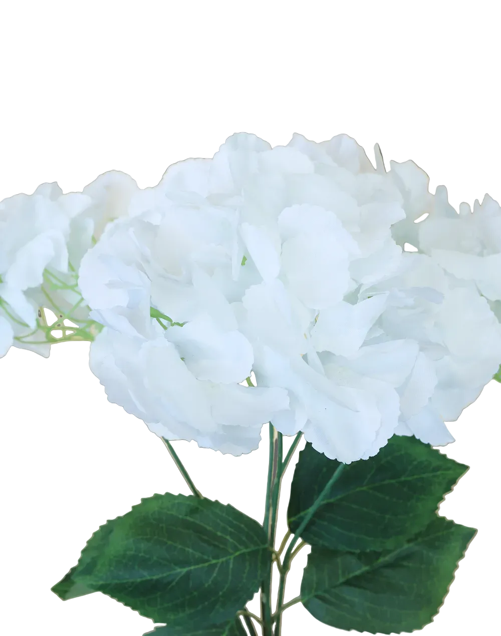 Pure White Hydrangea 5-Stem Spray