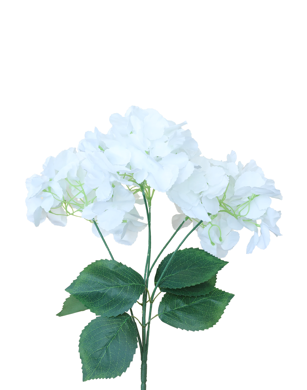 Pure White Hydrangea 5-Stem Spray