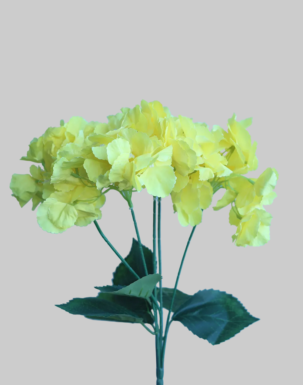 Yellow Hydrangea 5-Stem Spray