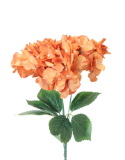 Hydrangea 5-Stem Silk Spray | Available in 34 Colors