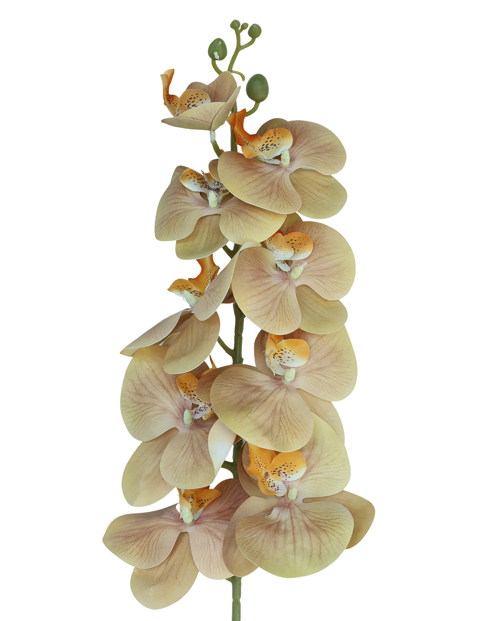 Orchid Stem 9-Head 42" | Available in 8 Colors