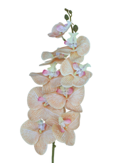 Orchid Stem 9-Head 42" | Available in 8 Colors