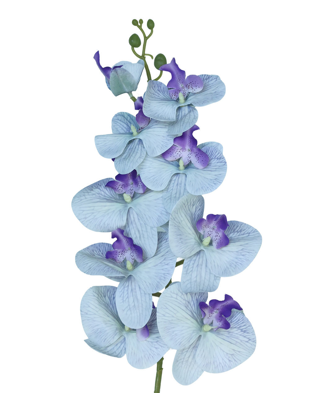 Orchid Stem 9-Head 42" | Available in 8 Colors