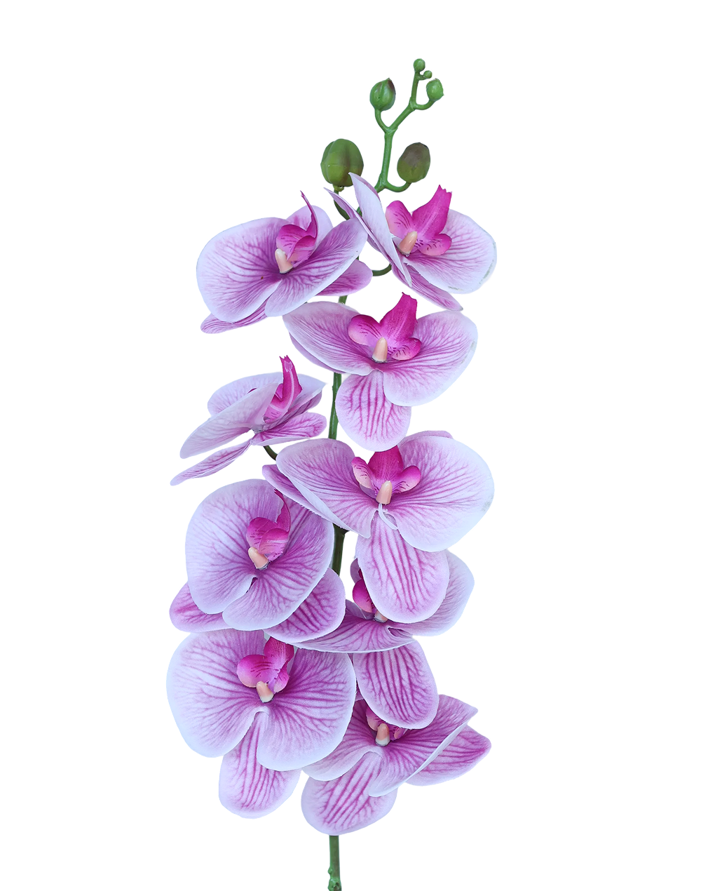 Real Touch Orchid Stem | Available in 6 Colors
