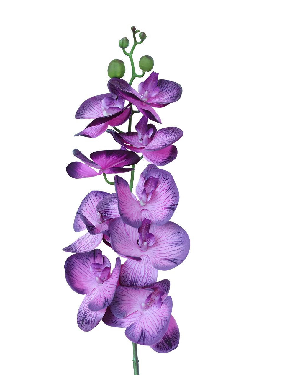 Real Touch Orchid Stem | Available in 6 Colors