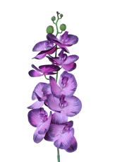 Real Touch Orchid Stem | Available in 6 Colors