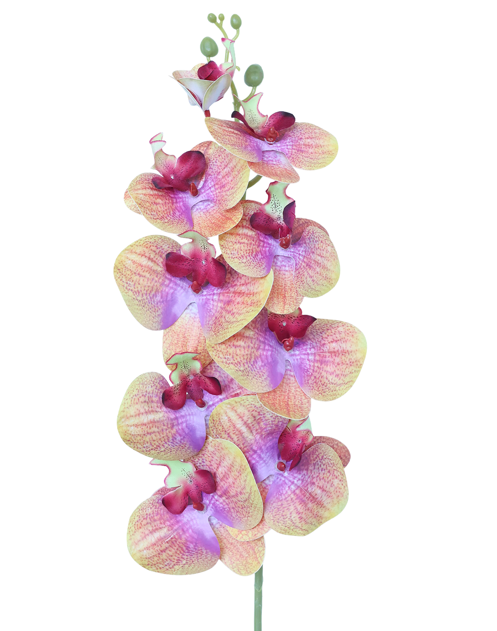 Orchid Stem 9-Head 42" | Available in 8 Colors