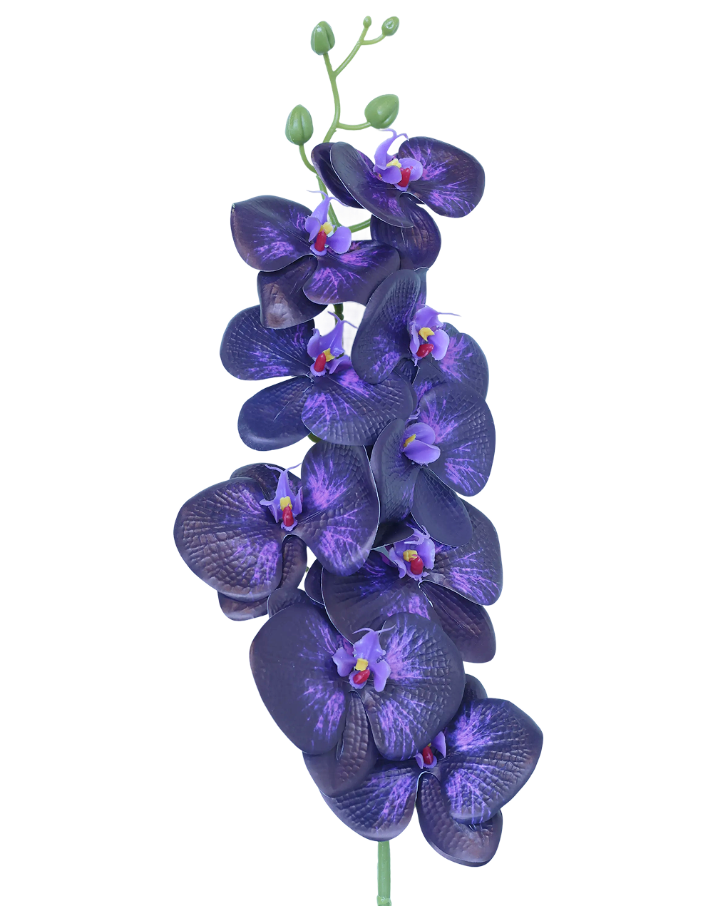 3D Orchid Stem | Available in 31 Colors