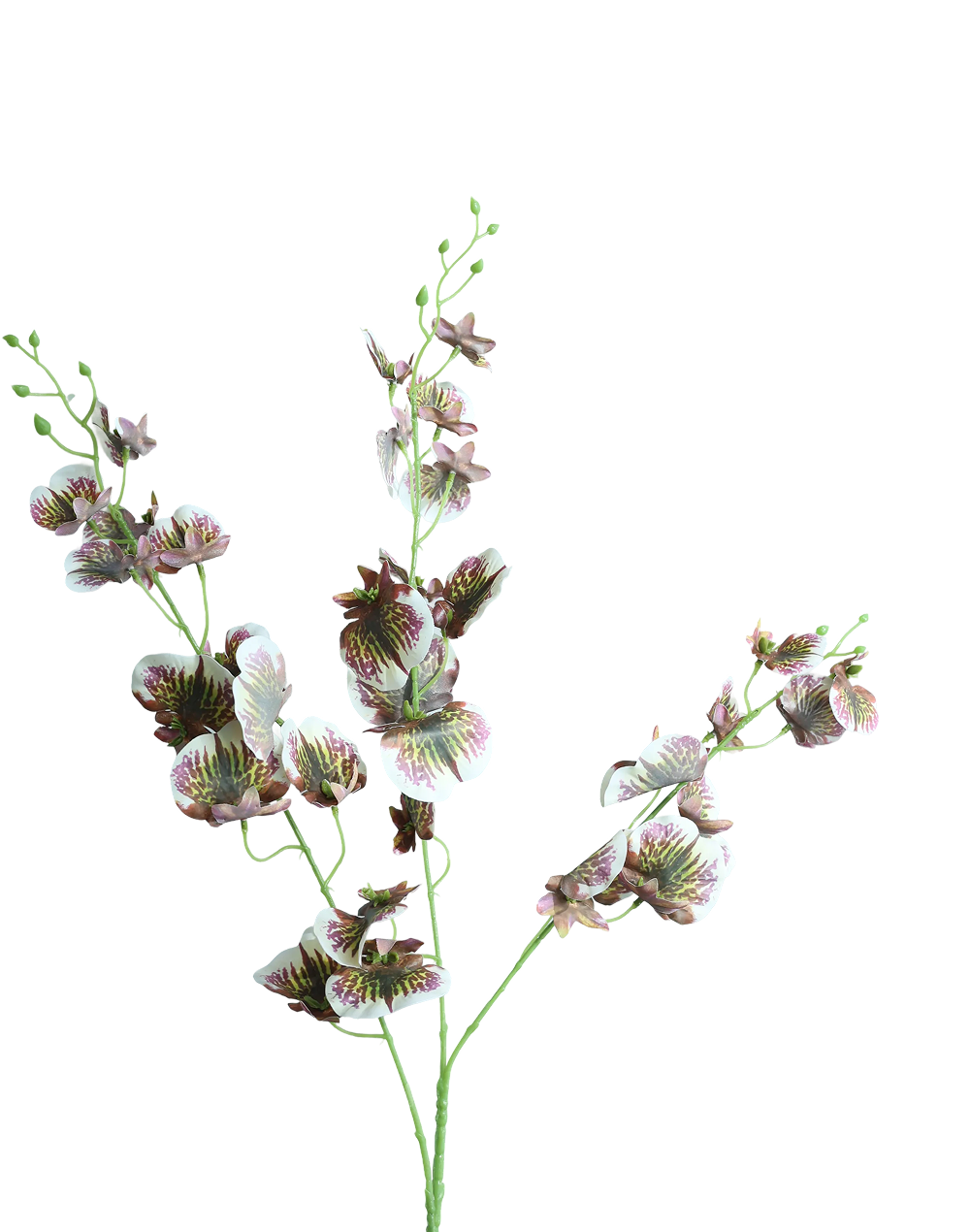 Dancing Orchids | Available in 5 Colors