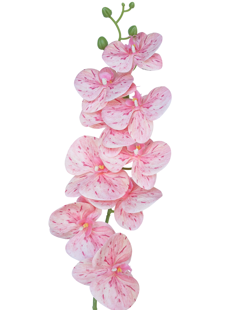 3D Orchid Stem | Available in 31 Colors