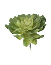 7-Head Lotus-Palm Succulent | Available in 3 Colors