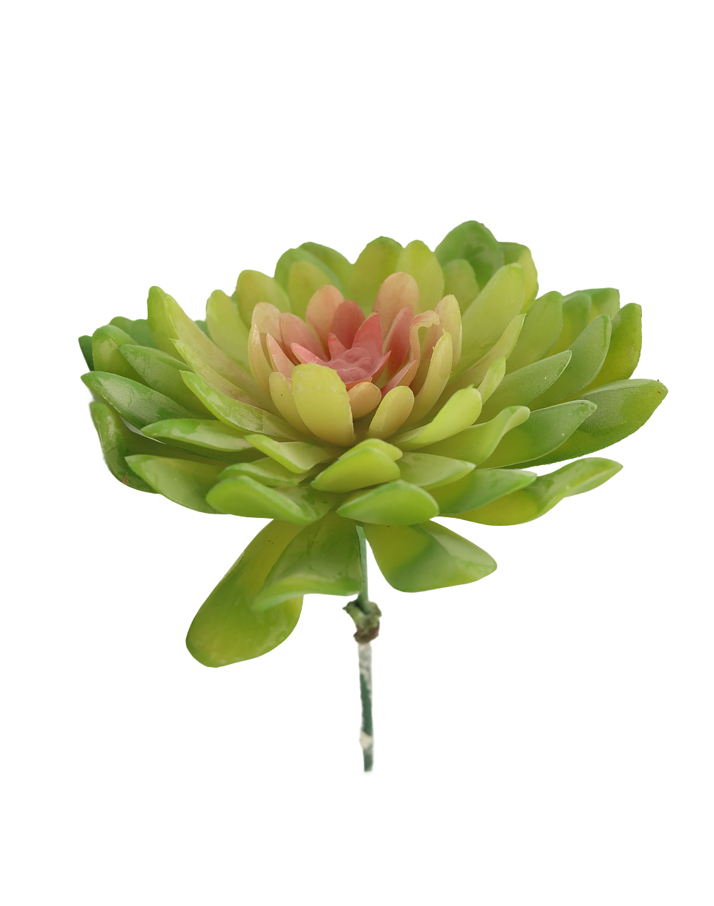 7-Head Lotus-Palm Succulent | Available in 3 Colors