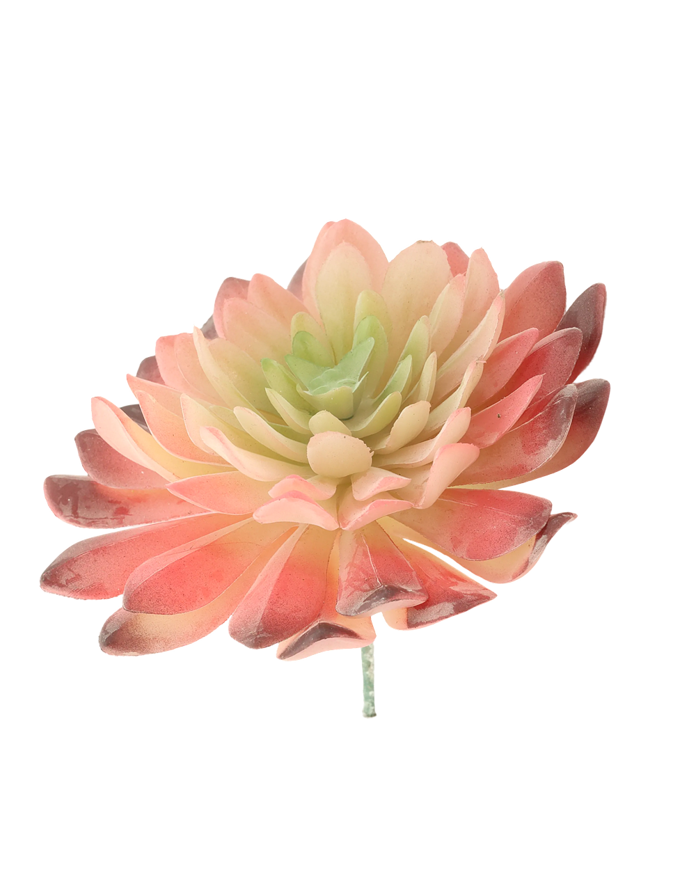 7-Head Lotus-Palm Succulent | Available in 3 Colors