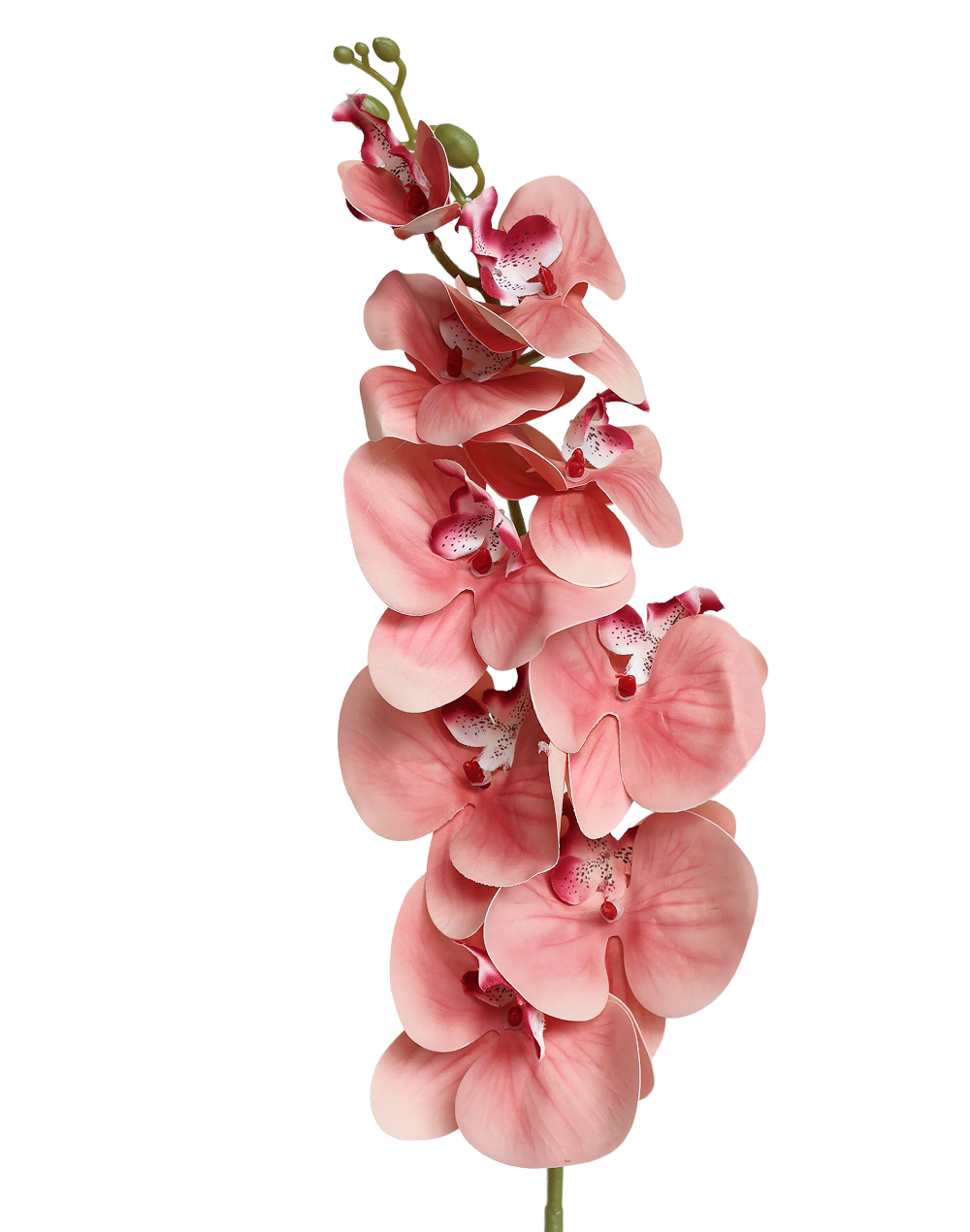Orchid Stem 9-Head 42" | Available in 8 Colors