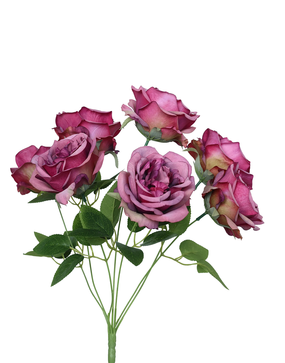 Austin Rose 7-Stem Spray | Available in 7 Colors