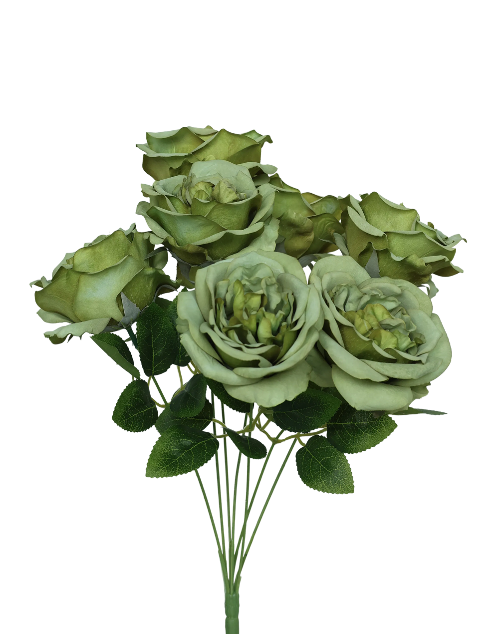 Austin Rose 7-Stem Spray | Available in 7 Colors