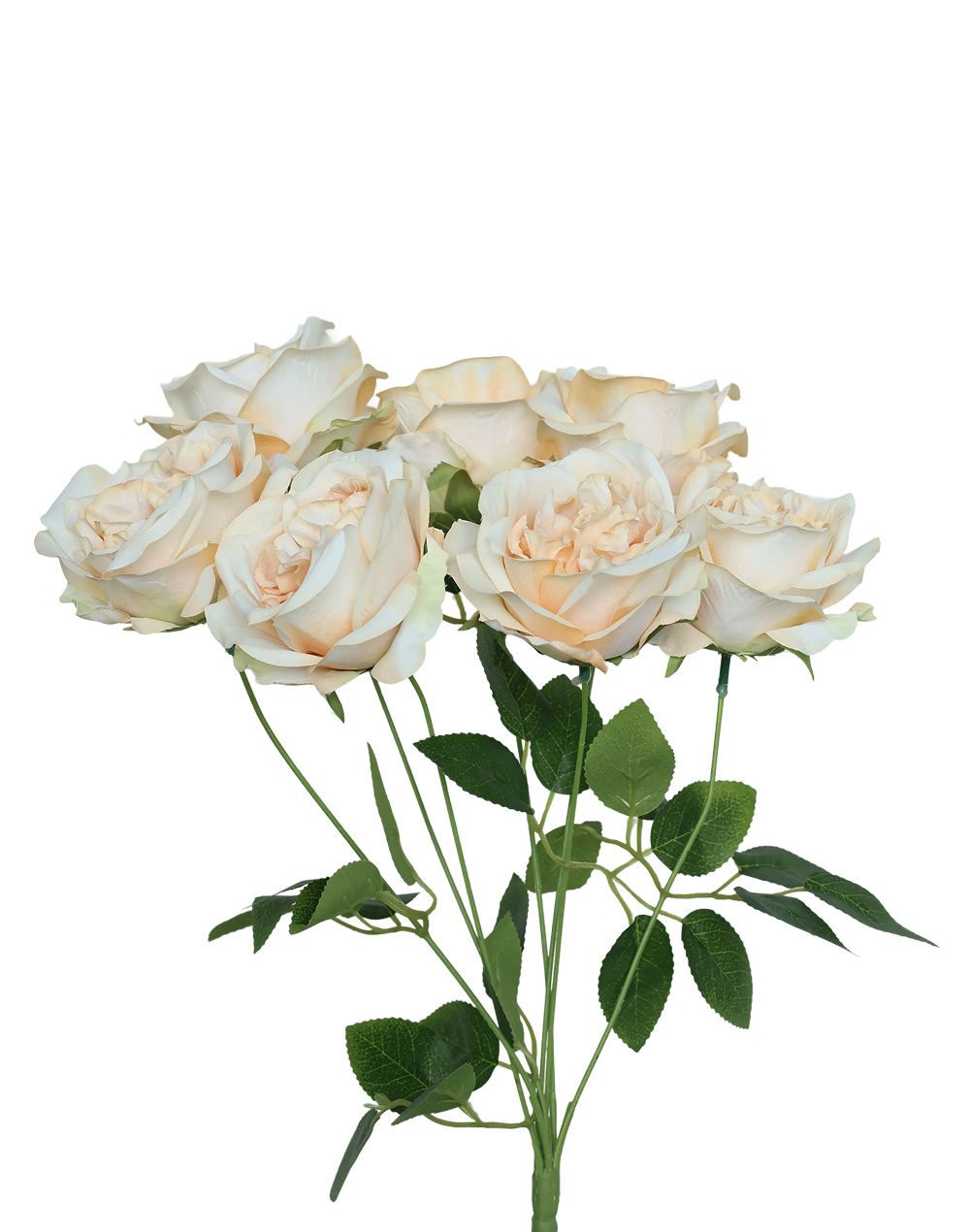 Austin Rose 7-Stem Spray | Available in 7 Colors