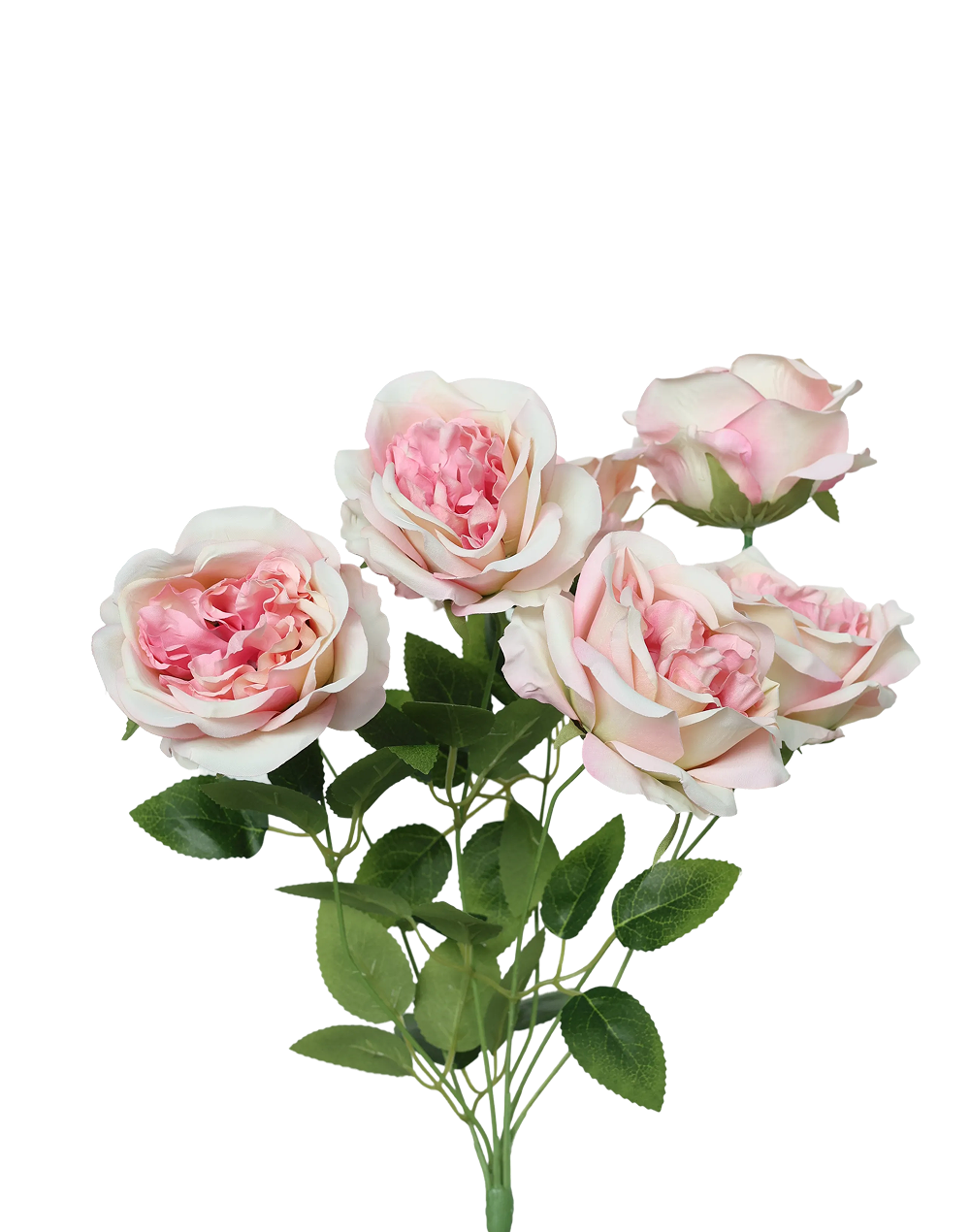 Austin Rose 7-Stem Spray | Available in 7 Colors