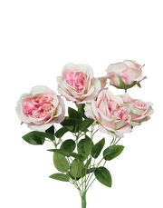 Austin Rose 7-Stem Spray | Available in 7 Colors