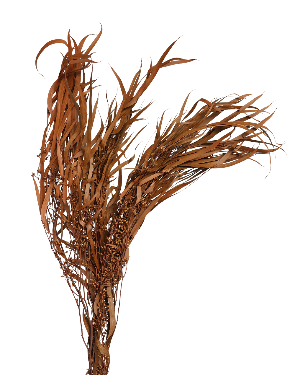 Eucalyptus Bush | Available in 3 Colors