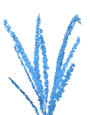 Dried Petite Eucalyptus | Available in 6 Colors