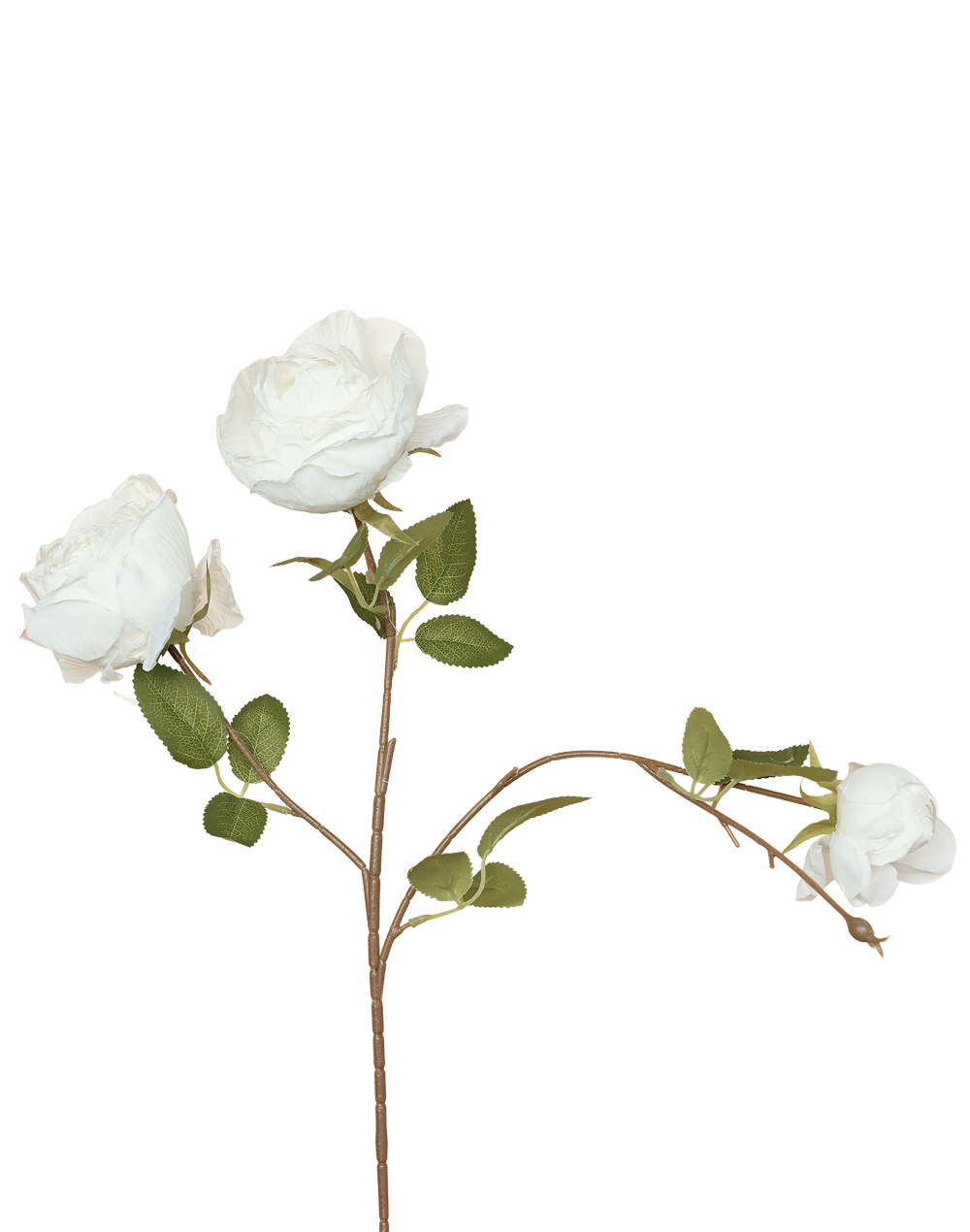 English Cabbage Rose Spray | Available in 2 Colors