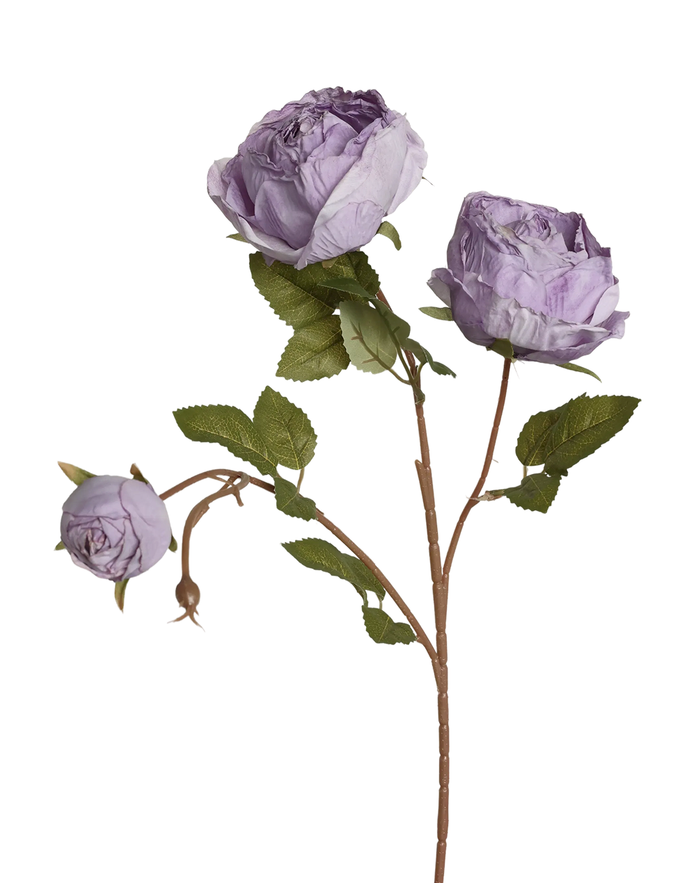 English Cabbage Rose Spray | Available in 2 Colors