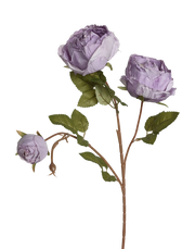 English Cabbage Rose Spray | Available in 2 Colors