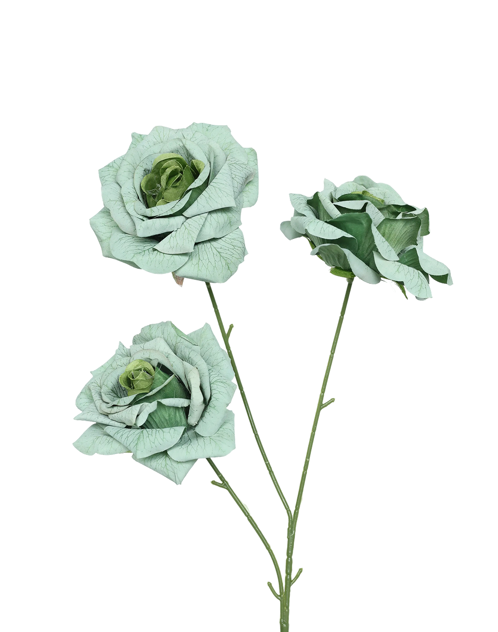 Printing Tea Rose 3-Head Spray | Available in 3 Colors