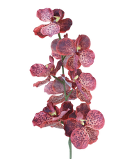 Silk Vanda | Available in 3 Colors