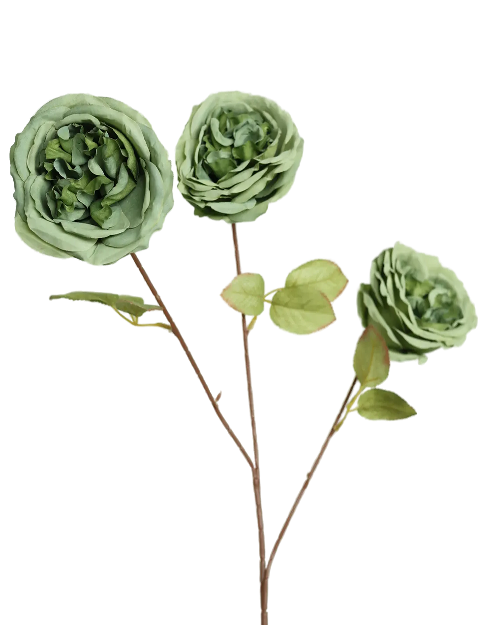 Austin Rose 3-Head Spray | Available in 3 Colors