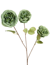 Austin Rose 3-Head Spray | Available in 3 Colors