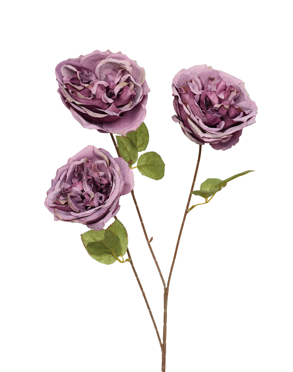Austin Rose 3-Head Spray | Available in 3 Colors