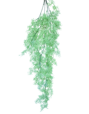 Dill Fern Spray Green