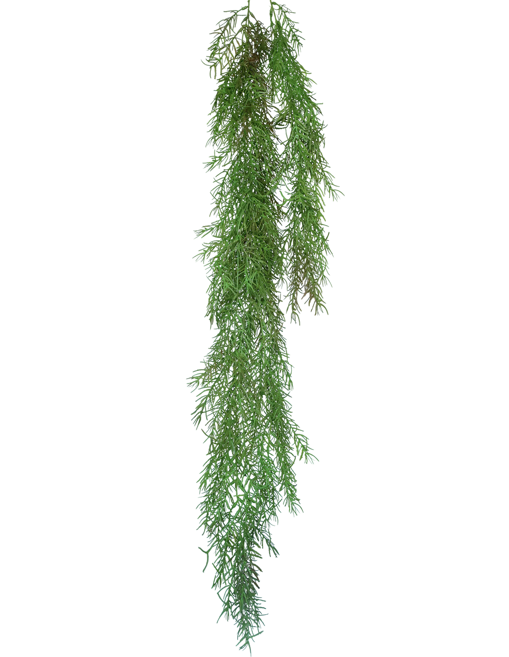 Foxtail Fern Spray
