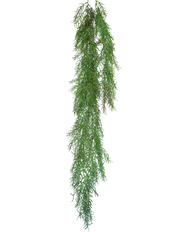 Foxtail Fern Spray