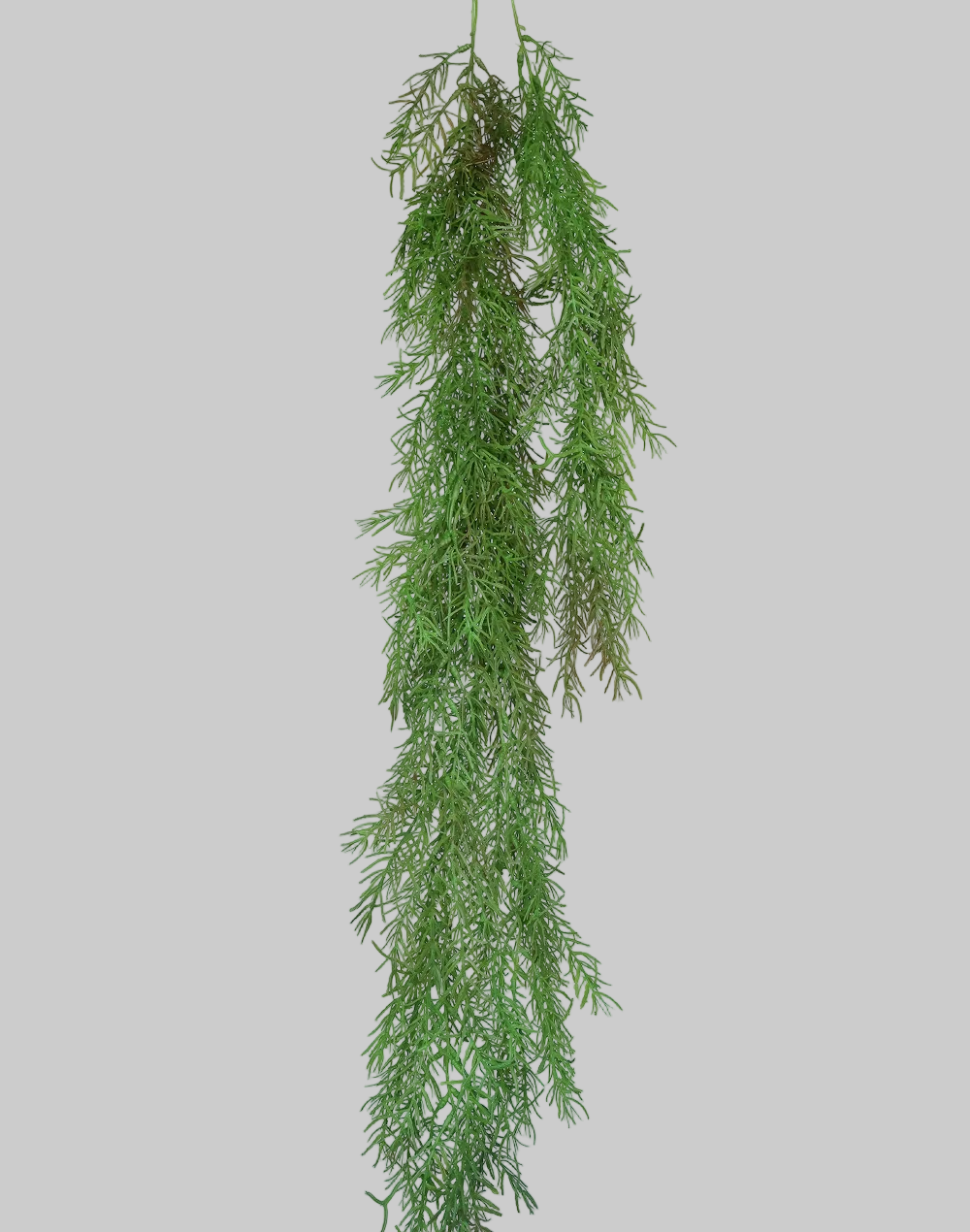 Foxtail Fern Spray