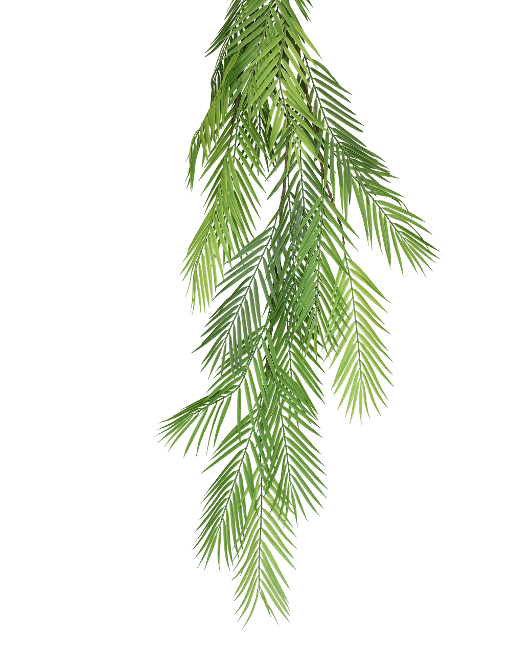 Palm Spray Green